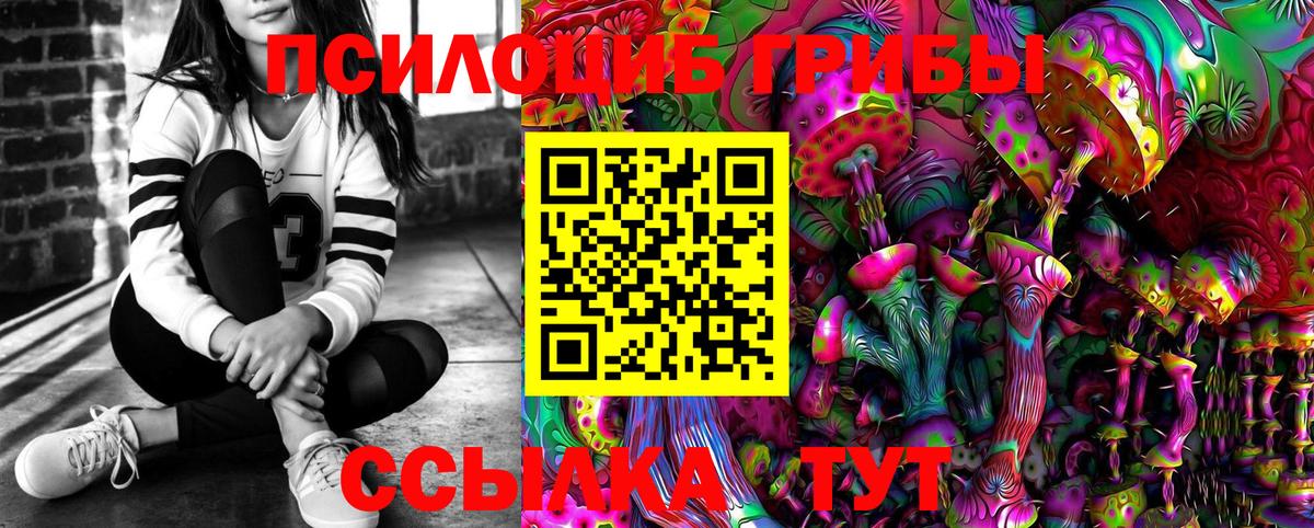 Галлюциногенные грибы Psilocybine cubensis Нерюнгри