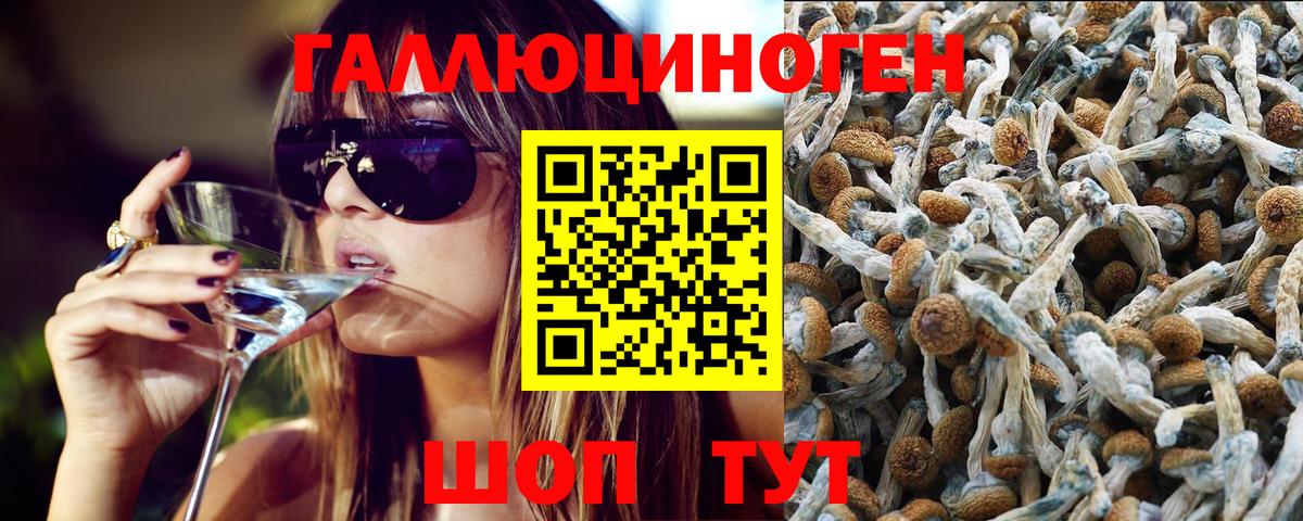 Галлюциногенные грибы MAGIC MUSHROOMS  Галлюциногенные грибы Magic Shrooms  Нерюнгри  Вход с VPN 